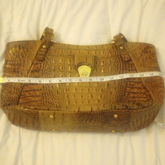 Brahmin - Picture 5 of 12